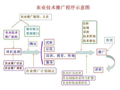 農業推廣程序 從理論到實踐的橋梁